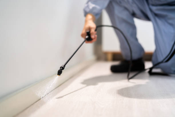 Licensed Mosquito Control service in Old River-Winfree, TX - Show Me Pest Control
